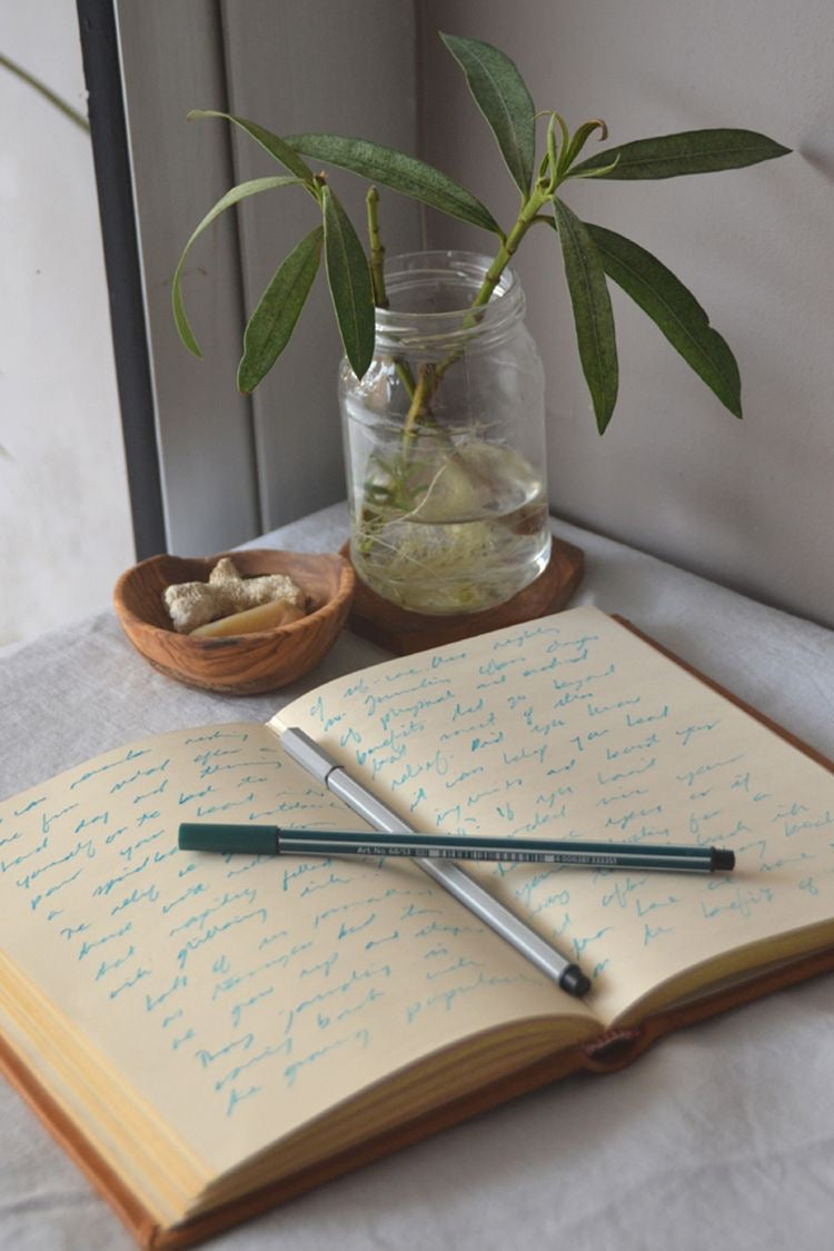 types of journals