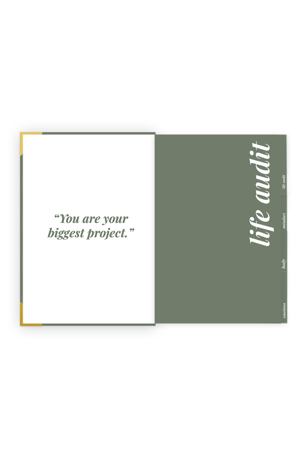 The Self Project Trio