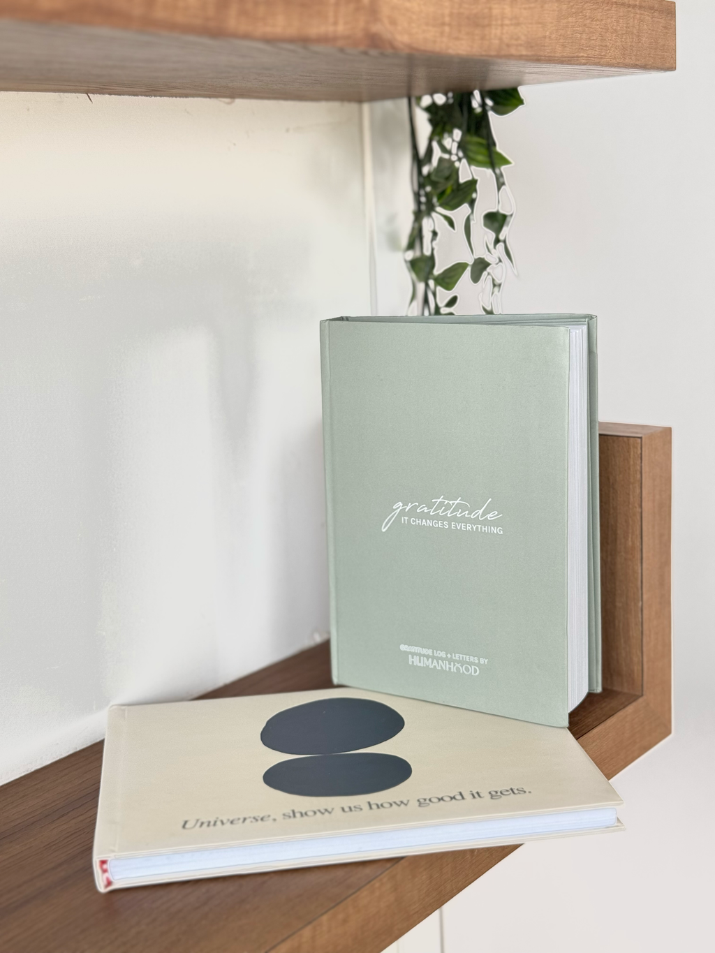 Gratitude & Goals Power Pack